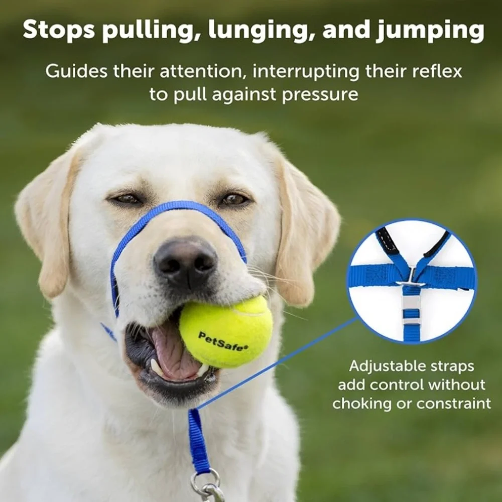 PetSafe Gentle Leader Headcollar No-Pull Dog Collar - Large, Royal Blue